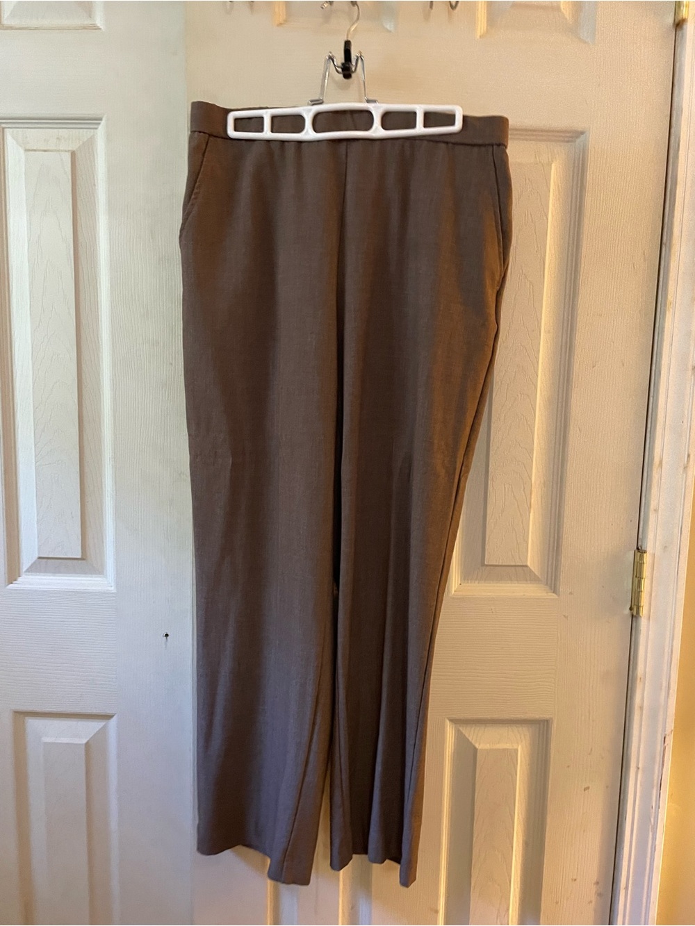 Kim Rogers Petite Brown pants Size 10 ps Faux pockets